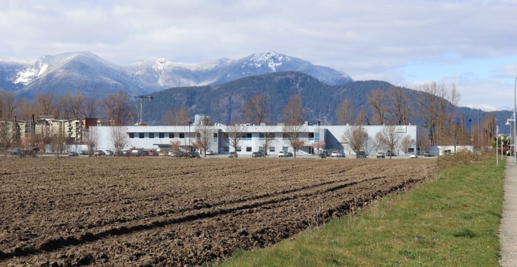 five corners meat co cover